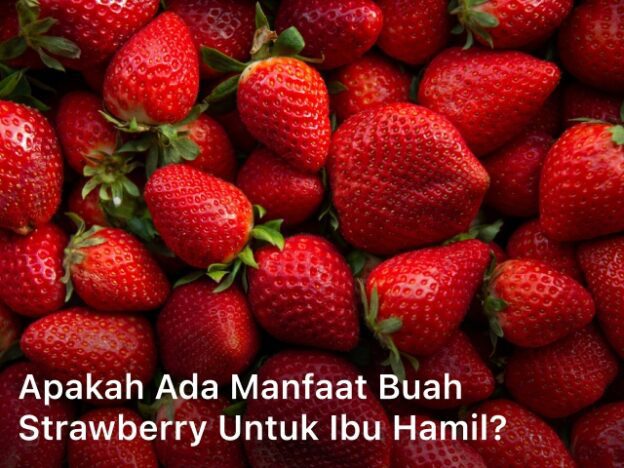 Manfaat Buah Strawberry untuk Ibu Hamil; manfaat buah strawberry untuk ibu hamil muda; buah strawberry untuk ibu hamil; manfaat jus strawberry untuk ibu hamil; manfaat stroberi untuk ibu hamil; strawberry untuk ibu hamil; buah stroberi untuk ibu hamil;