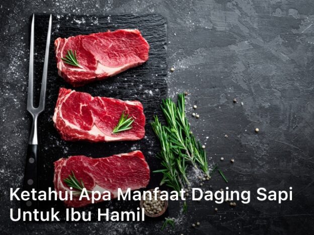 Manfaat Daging Sapi untuk Ibu Hamil