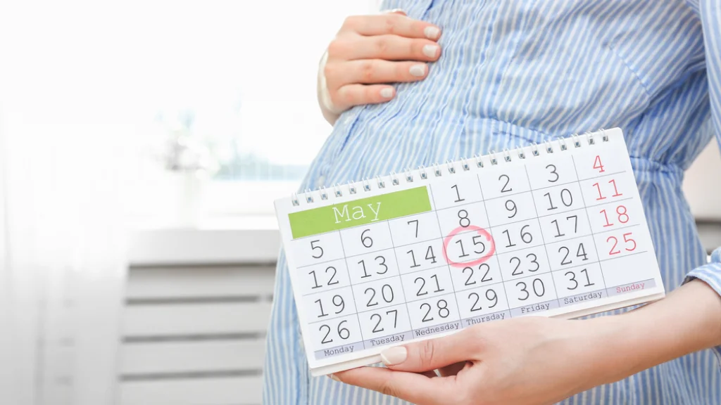 Panduan Mudah Cara Menghitung Kehamilan Dari Terakhir Haid