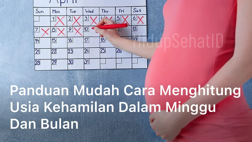 Panduan Mudah Cara Menghitung Usia Kehamilan dalam Minggu dan Bulan