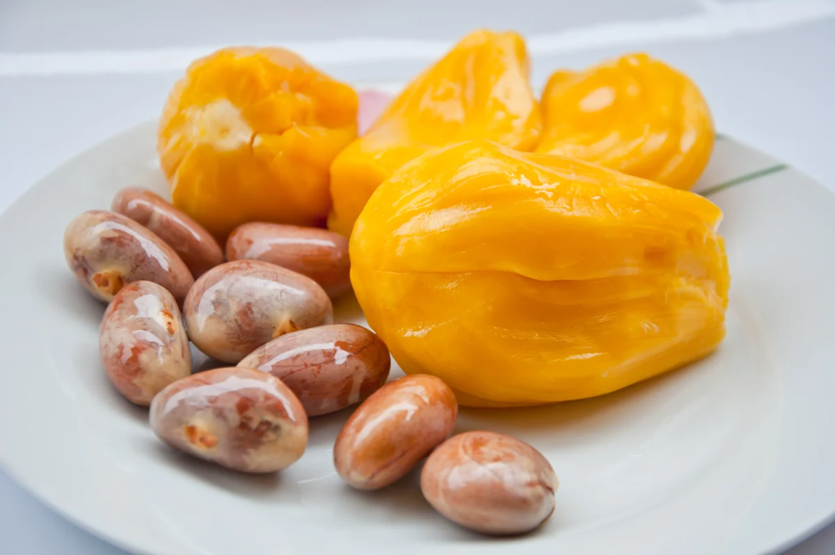 manfaat biji nangka rebus